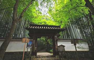 韩国曹溪宗寺院生活体验营